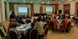 Atelier EGRISS de renforcement des capacités du personnel de l’ICASEES