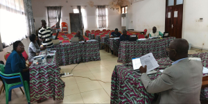 ICASEES : Atelier restreint de finalisation du diagnostic de conformité à la démarche qualité du système statistique centrafricain