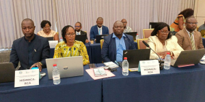 HISWACA SOP-2 : Atelier régional sur le signalement et la gestion des incidents, la gestion des risques de santé et sécurité et la prévention-réponse aux risques VBG/EAS/HS dans le cadre des opérations statistiques au sein des pays de la CEMAC
