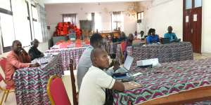 ICASEES : Validation du Plan de Renforcement des Capacités des Cadres du Système Statistique National