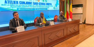 Atelier SDMX–ODP 2.0 : clôture des travaux de l'atelier conjoint BAD–CEMAC–UNFPA à Libreville
