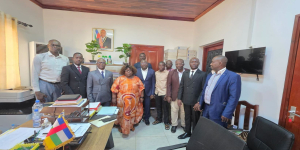 ICASEES : La CEMAC et l’UEMOA renforcent l’appui technique à la mise en œuvre de l’EHCVM2 en République centrafricaine