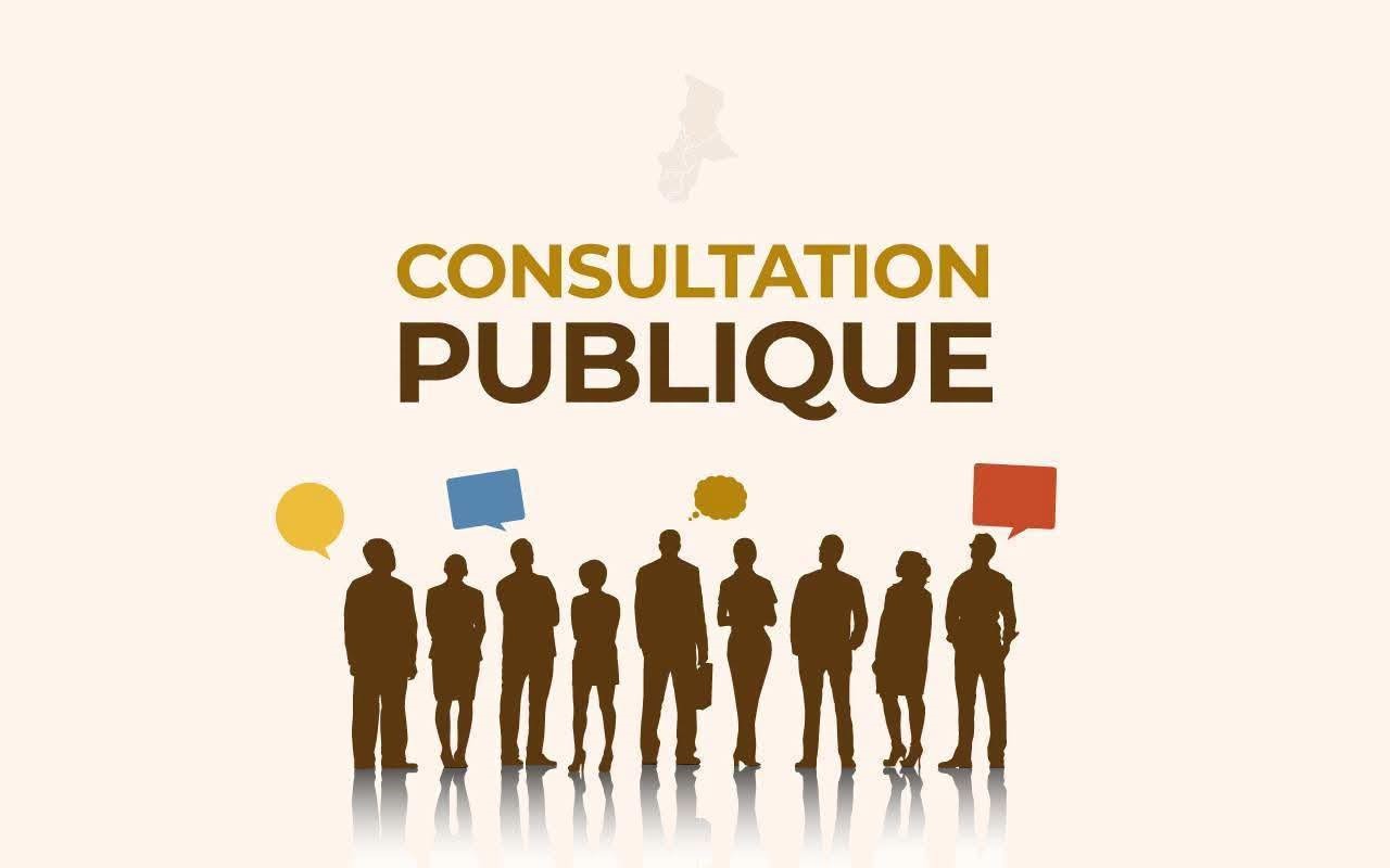 ICASEES : la COSUMAF, l'OCDE-INFE et l'ICASEES renforcent leur partenariat pour l'évaluation de l'éducation financière et du bien-être des adultes en République centrafricaine