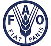 img-FAO2.jpg